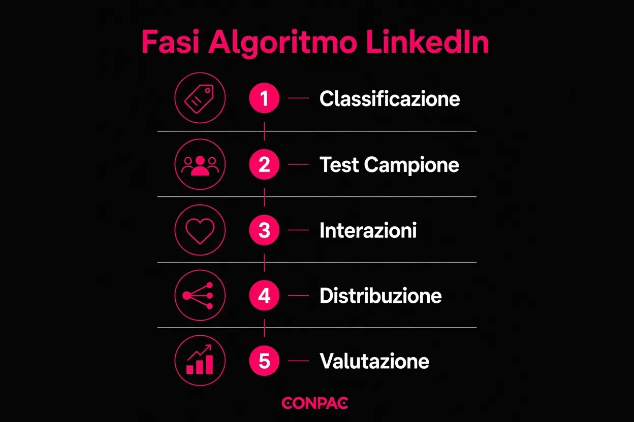 Fasi Algoritmo Linkedin