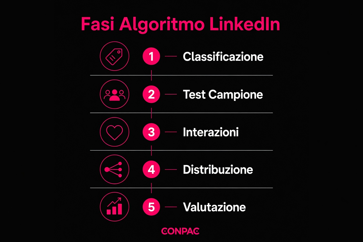Fasi Algoritmo Linkedin